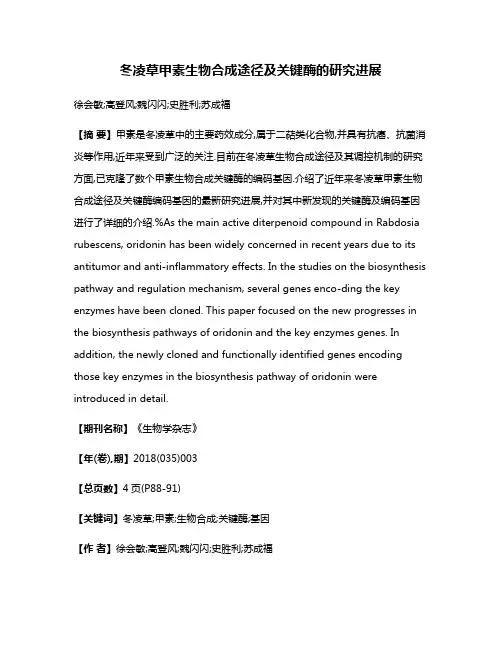 冬凌草甲素生物合成途径及关键酶的研究进展