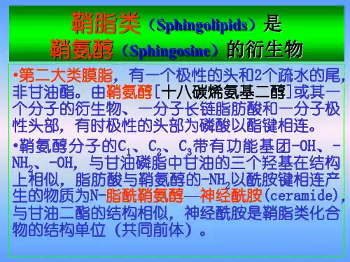 脂类和脂生物化学2
