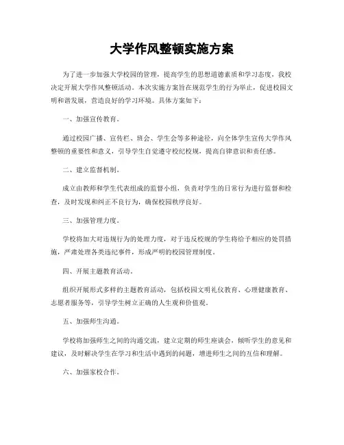 大学作风整顿实施方案