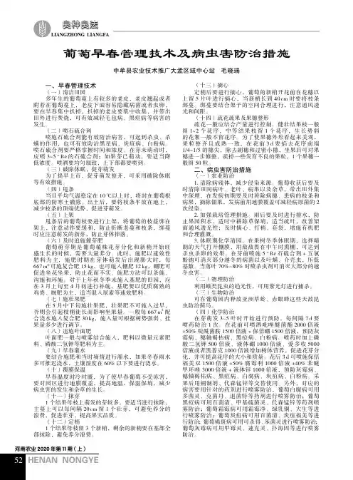 葡萄早春管理技术及病虫害防治措施