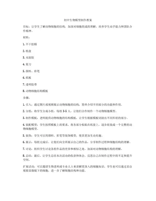 初中生物模型制作教案