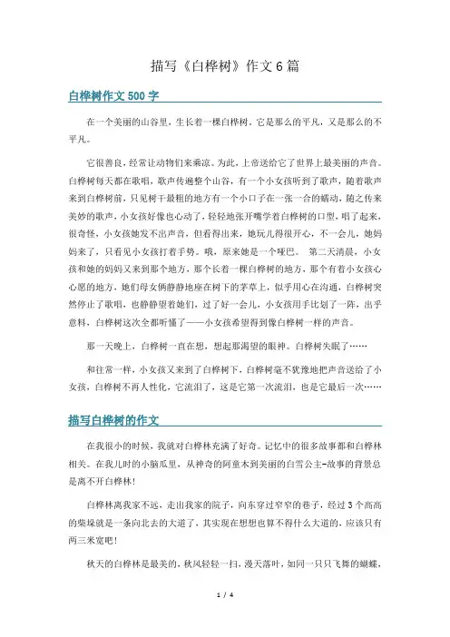 描写《白桦树》作文6篇
