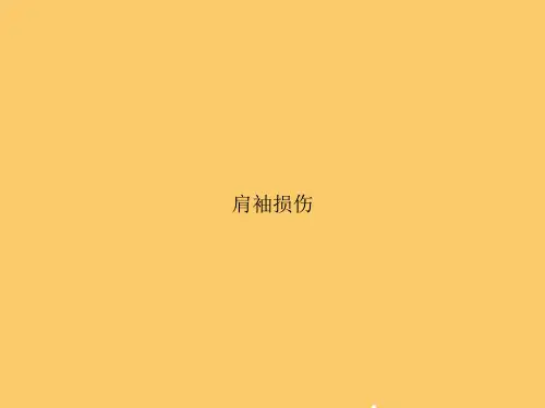 肩袖损伤PPT【完美版】