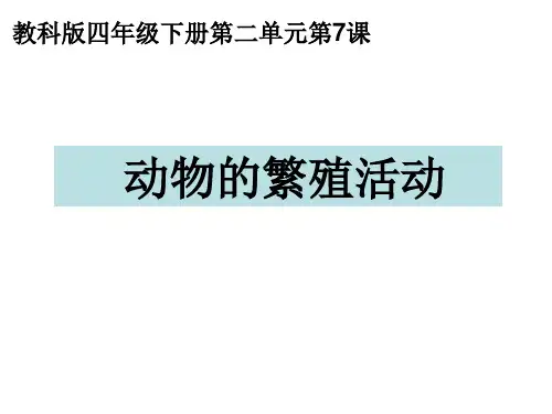 《动物的繁殖活动》PPT课件