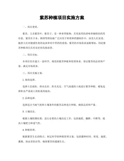 紫苏种植项目实施方案