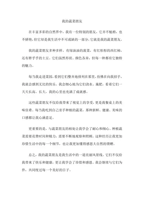 我的蔬菜朋友