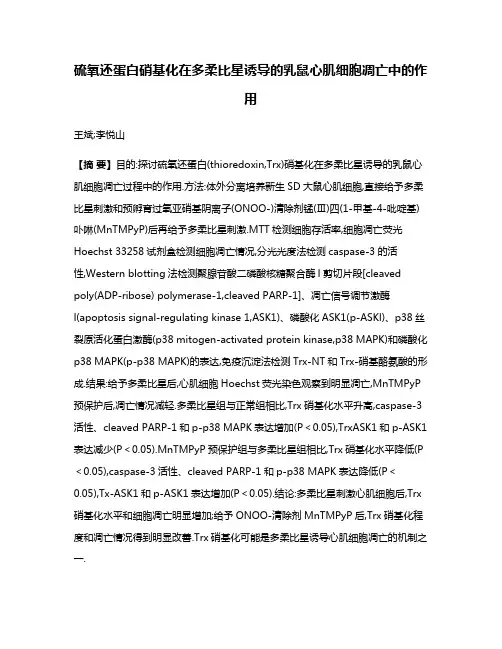 硫氧还蛋白硝基化在多柔比星诱导的乳鼠心肌细胞凋亡中的作用