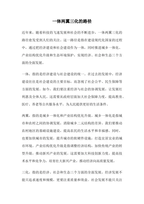 一体两翼三化的路径