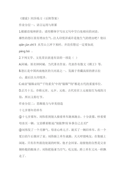 《溜索》同步练习(后附答案)