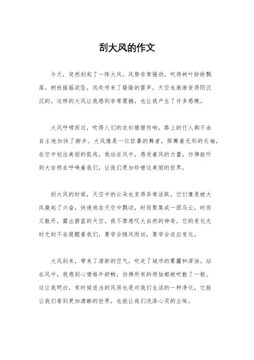 刮大风的作文