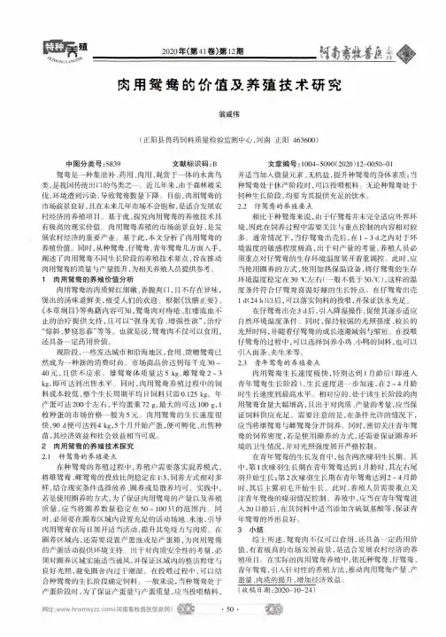 肉用鸳鸯的价值及养殖技术研究