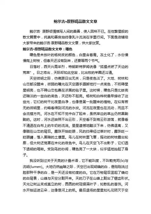 鲍尔吉·原野精品散文文章