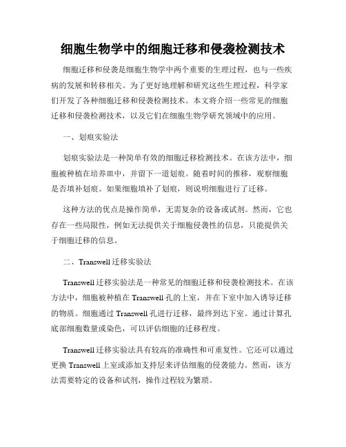 细胞生物学中的细胞迁移和侵袭检测技术