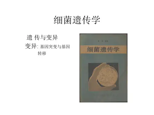 细菌遗传学课件