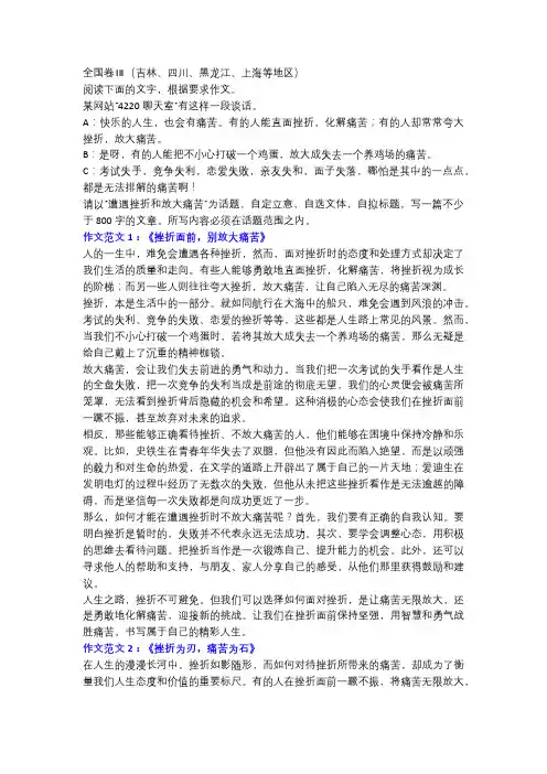 2004年高考语文全国卷Ⅲ作文范文《挫折面前,别放大痛苦》!