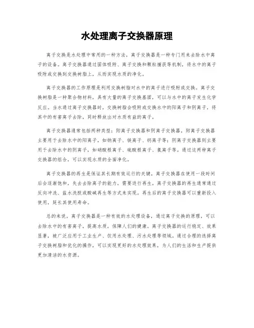 水处理离子交换器原理