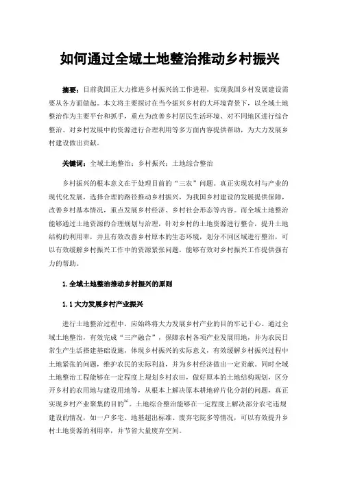 如何通过全域土地整治推动乡村振兴