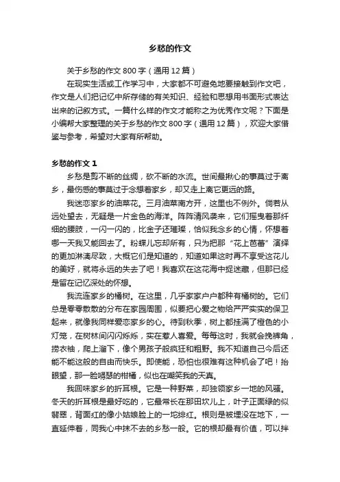 乡愁的作文