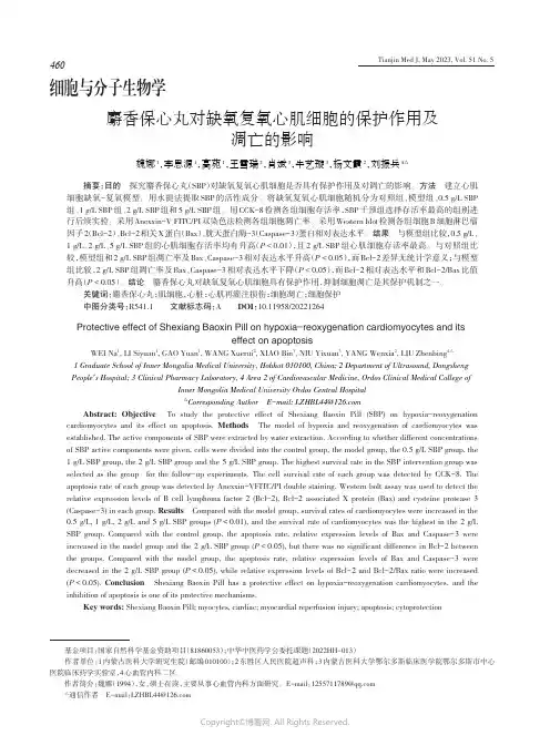 214362917_麝香保心丸对缺氧复氧心肌细胞的保护作用及凋亡的影响