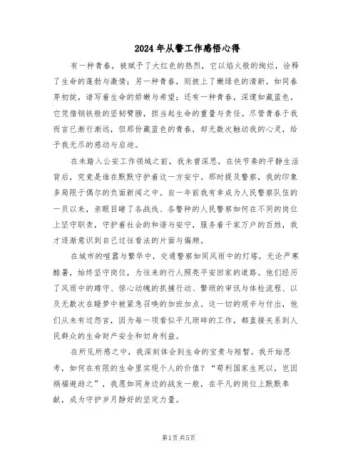 2024年从警工作感悟心得（三篇）
