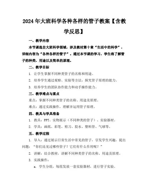 2024年大班科学各种各样的管子教案【含教学反思】