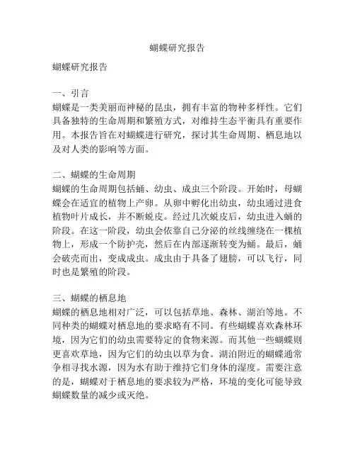 蝴蝶研究报告