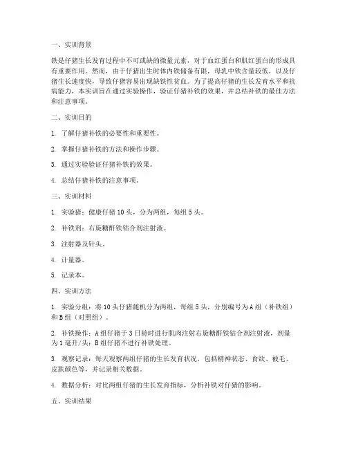仔猪补铁的实训报告