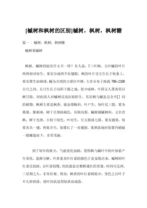 [槭树和枫树的区别]槭树，枫树，枫树糖