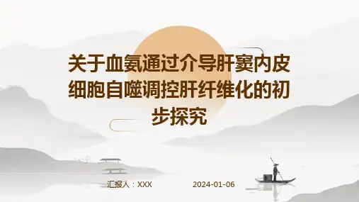 关于血氨通过介导肝窦内皮细胞自噬调控肝纤维化的初步探究演示稿件