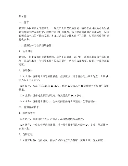 番茄养护总结报告范文(3篇)
