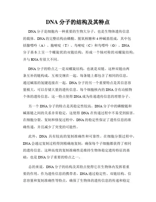 DNA分子的结构及其特点