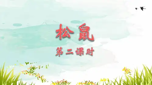 特优 《松鼠》第二课时(共18张PPT)