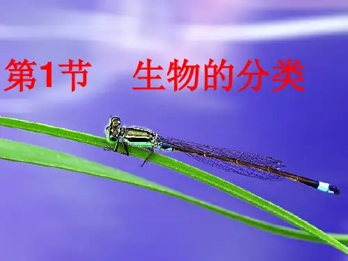 北师大版生物八年级下册 7.22.1 生物的分类 课件