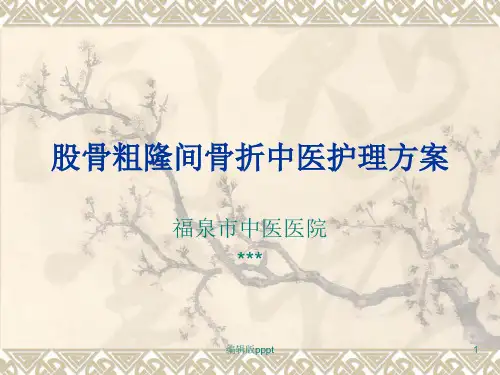 股骨粗隆骨折中医护理方案ppt课件