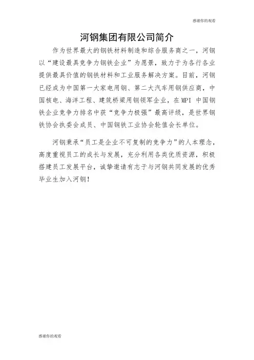 河钢集团有限公司简介.doc