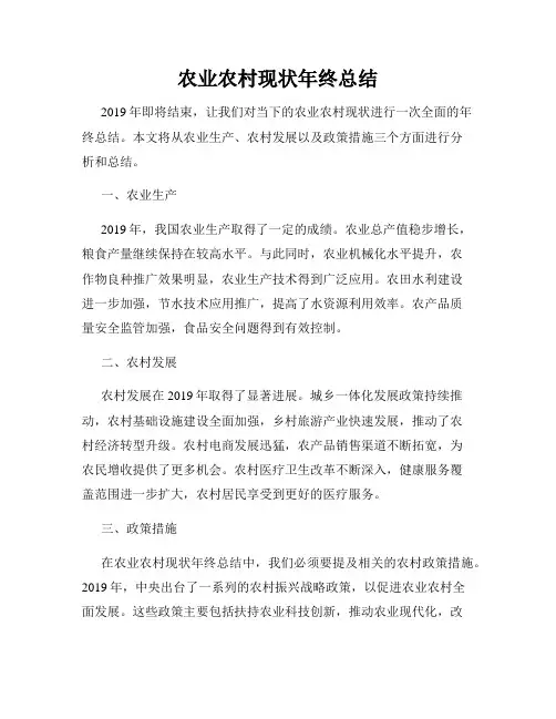 农业农村现状年终总结
