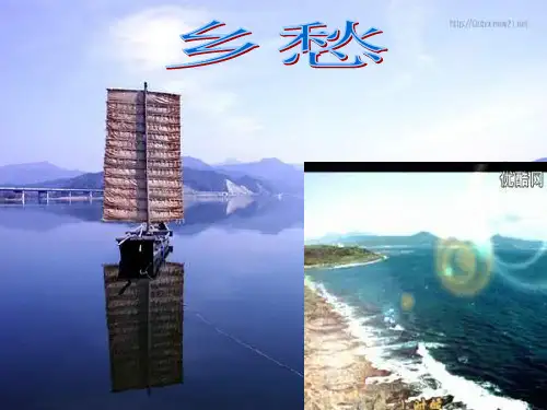 失根的兰花教案语文ppt
