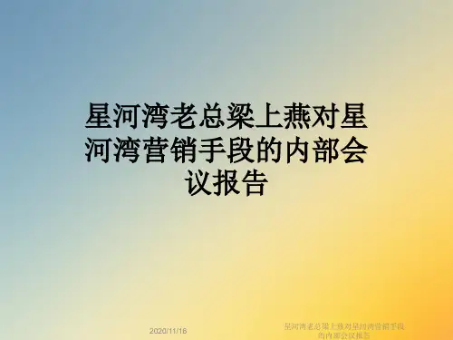 星河湾老总梁上燕对星河湾营销手段的内部会议报告