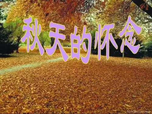 初中语文《秋天的怀念》(共24张)ppt39