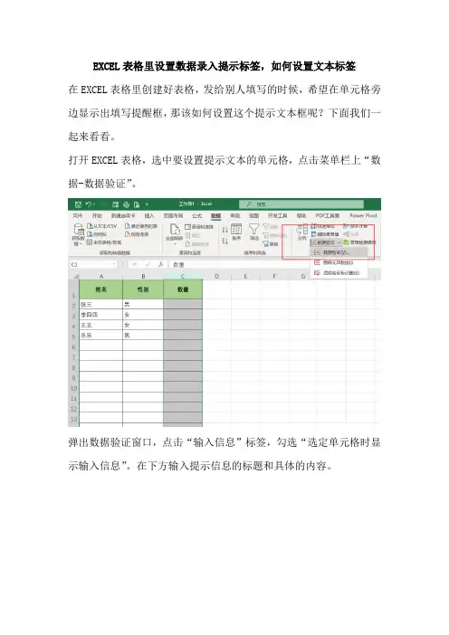 EXCEL表格里设置数据录入提示标签,如何设置文本标签