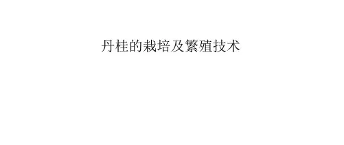 丹桂的栽培及繁殖技术