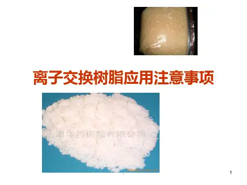 离子交换树脂应用PPT课件