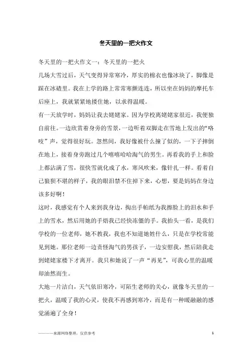 冬天里的一把火作文