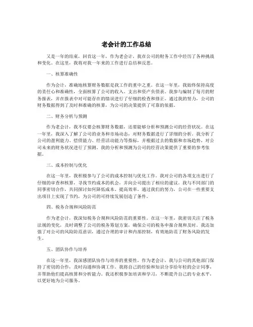 老会计的工作总结