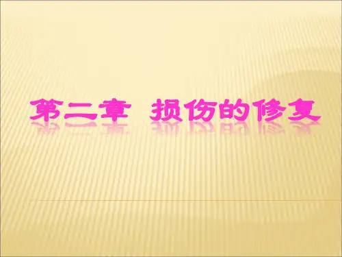 2.损伤的修复