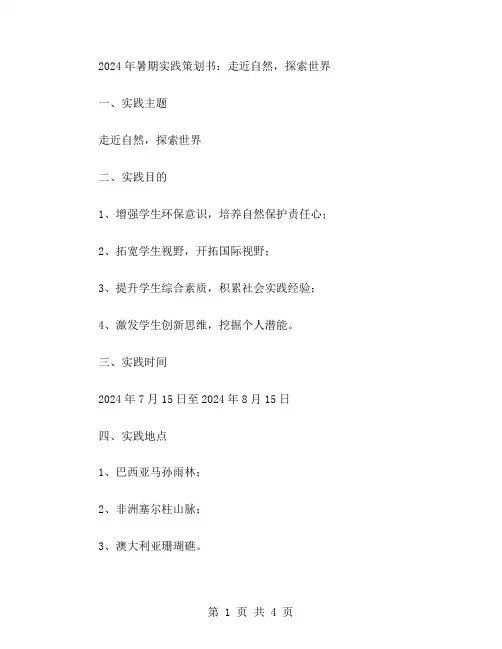 2024年暑期实践策划书范文