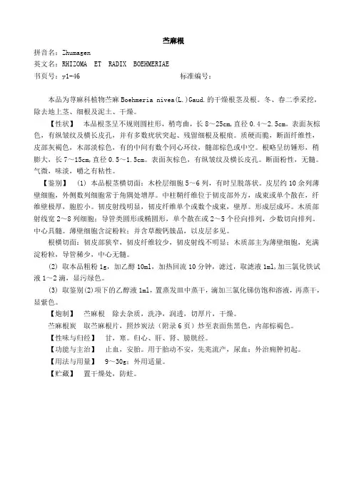 苎麻根