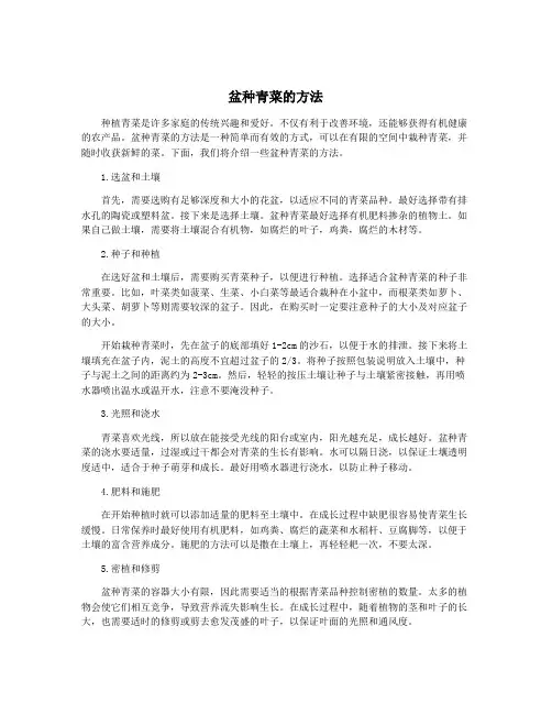 盆种青菜的方法