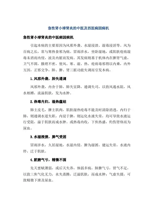 急性肾小球肾炎的中医及西医病因病机