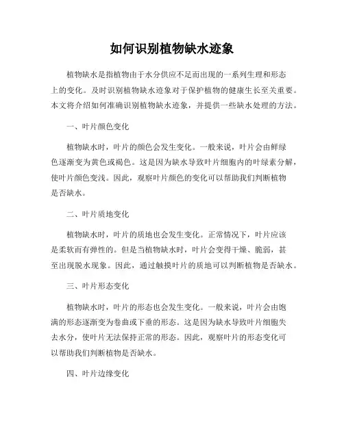 如何识别植物缺水迹象